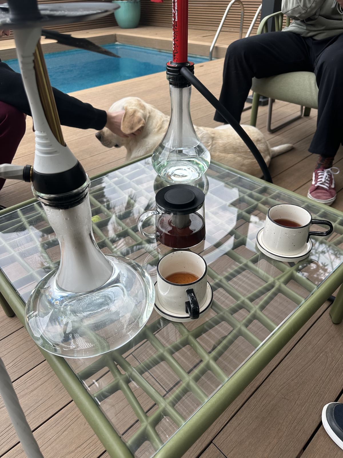 Ember Hookah en una fiesta en casa en Sitges (3)